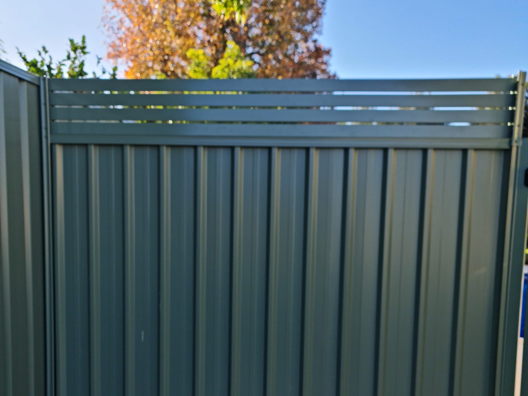 Green Colorbond fencing with matching gate in Perth